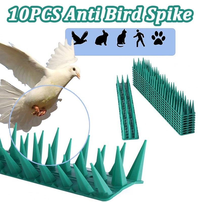 Bird Spikes
